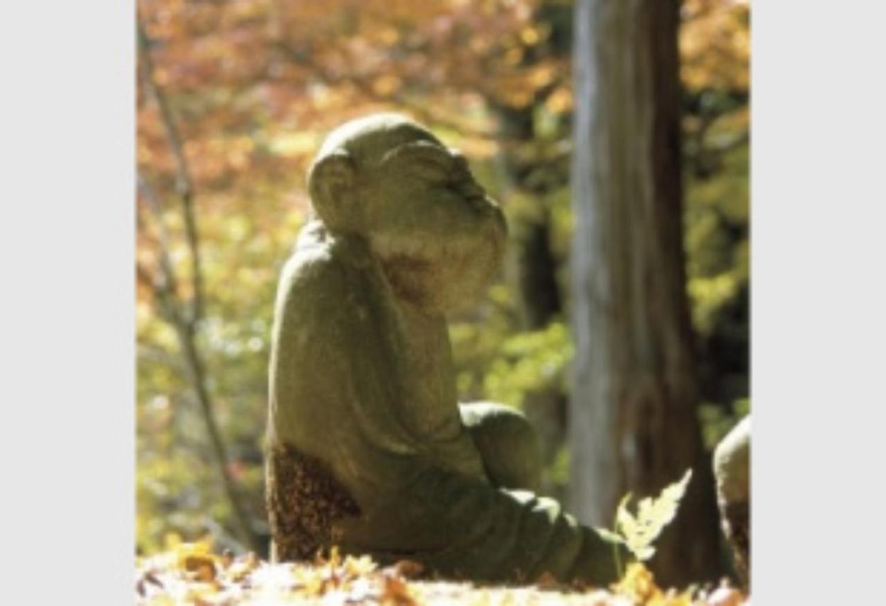 Syunkasyuutou - Vacation Stay 53627V Hakone Ngoại thất bức ảnh
